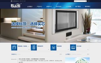沙漠风网站建设公司 标顶官方网站设计制作成功案例