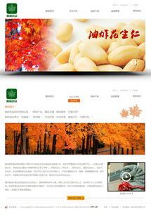 烟台枫林食品 多元化产业与网亿高端网站建设的协同发展