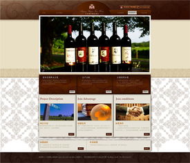 红酒加盟公司与VIP网站页面设计 打造品牌魅力的网页策略